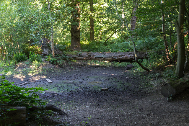 Shaws Wood, Trent Park, Cockfosters,... © Christine Matthews cc-by-sa/2 ...