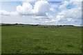 Farmland near North Sunderland