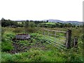 Feeder and a rushy field, Learden Lower