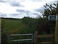 Footpath to Down Farm from Higher Wottons Farm