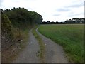 Farm track alongside field near Higher Wottons Farm