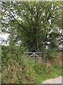 A little-used gateway for a footpath to Battens Farm