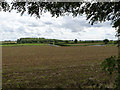 Fields near Stroxton