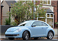 Volkswagen Beetle, Belfast