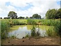 Pond, Partridge Green