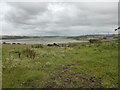 Looking towards Goldborough Pill