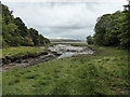 The stream running into Goldborough Pill