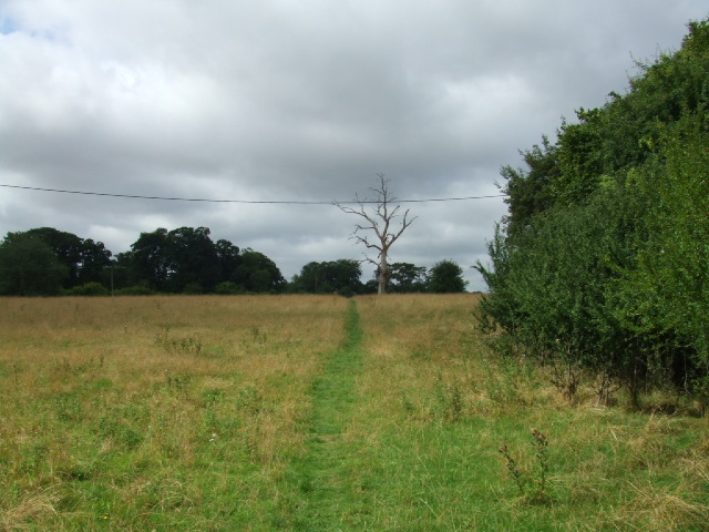 Cross-field path to Oozes Wood near Manuden