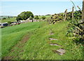 Colne Valley Circular Walk west of Hollins