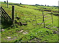 Distorted fence at Hollins