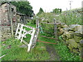 Ramshackle gate on the Colne Valley Circular Walk