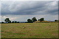 Open space near Cornton