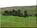 View across Glen Lethnot