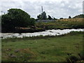 Boat reclaimed by nature, Milton Creek, Sittingbourne