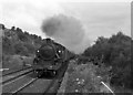 J0631 : Steam train at Goraghwood - 1986 by The Carlisle Kid