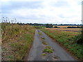 Minor road near Kirby Bedon