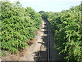 Freight line at Stoke Road