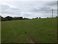 Track across field to Stone Farm