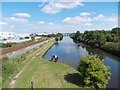 Children fishing on the Rotherham Cut