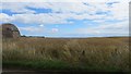 NO5707 : Oilseed rape, East Pitcorthie by Richard Webb