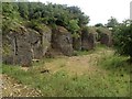 View Edge Quarry SSSI