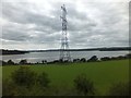 SX4461 : Pylon at the south of Bere Ferrers peninsula by David Smith