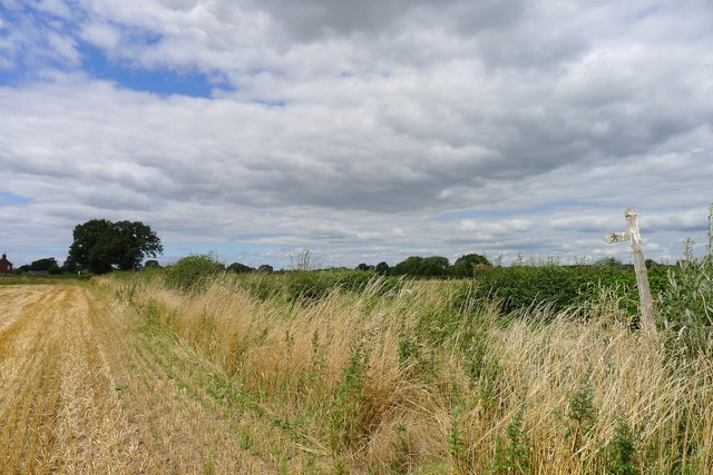 A field alongside Ridware Road