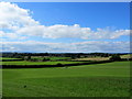 Fields to the West of Burneston