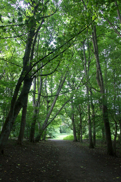 Path through the woods at Cammo © Mike Pennington :: Geograph Britain ...