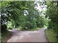 Entrance drive to Ashridge Court