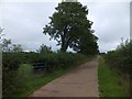 Bridleway and drive to Ashridge Moor Cross