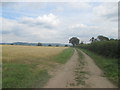 Bridleway towards South Kilvington