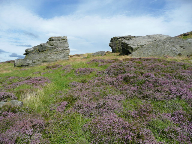 The Piper Stones