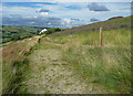 Path junction on the Colne Valley Circular Walk