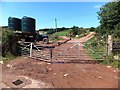 Double field gates at Slade