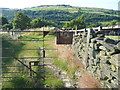 Strange gate on the Colne Valley Circular Walk