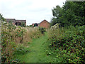 Small area of rough grassland,  Maidenbower, Crawley