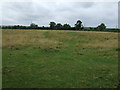 Farmland off Moor Lane