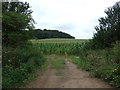 Farmland, Underhill Farm