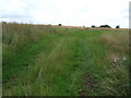 Farm track off Costock Road