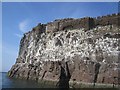 NT6087 : Fortifications, Bass Rock by Richard Webb