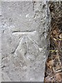 Ordnance Survey Cut Mark