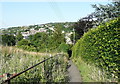 Footpath to Stones Lane