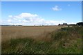 Farmland on Harlaw Hill