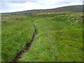 NN8585 : Burn-side deer tracks by tributary of Feshie Water near Aviemore by ian shiell