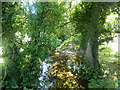 The River Quarme at Coppleham Cross