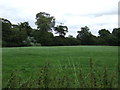 Farmland towards Hall Plantation