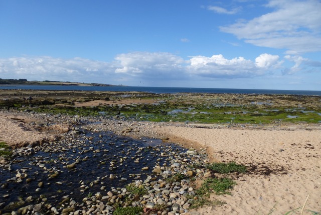 Beach at Longhoughton Steel © DS Pugh :: Geograph Britain and Ireland