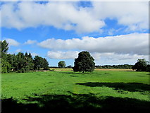 SE2877 : Countryside near North Stainley by Chris Heaton