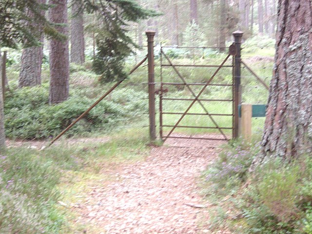 Deer fence and gate